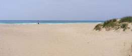 Spiaggia di Torre Lapillo